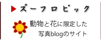 動物と花に限定した写真blogサイト、ズーフロピック